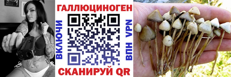 ссылка на мегу ТОР Зеленодольск Галлюциногенные грибы GOLDEN TEACHER